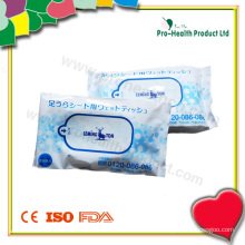 Wet Wipes in a Plastic Bag (PH734A)